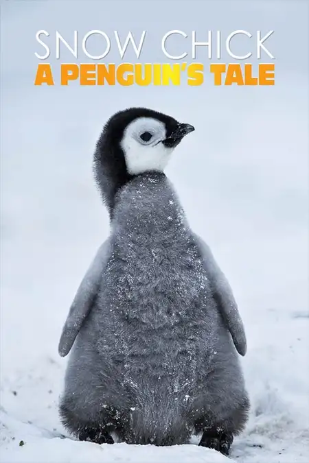 Snow Chick: A Penguin's Tale (2015) izle
