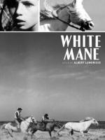 White Mane: The Wild Horse