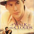 Bulutların Ötesinde - A Walk in the Clouds (1995)