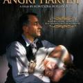 Angry Harvest (1985)