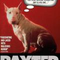 Baxter (1989)