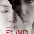 Karanlığın Gözleri - Blind (2011)