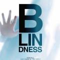 Blindness - Körlük (2008)