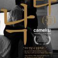 Camel(s) (2002)