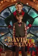 David and the Elves (2021)
