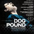 Dog Pound (2010)