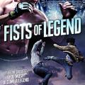 Fists of Legend (2013)