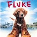 Şanslı - Fluke (1995)