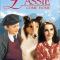 Yuvaya dönüs - Lassie Come Home (1943)