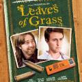 Çimen Yaprakları - Leaves of Grass (2009)