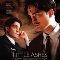 Küçük Küller - Little Ashes (2008)