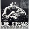 Aşk Irmakları - Love Streams (1984)
