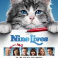 Dokuz Canlı Bay Tüylü - Nine Lives (2016)