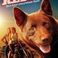 Red Dog (2011)
