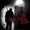 Sen Aydinlatirsin Geceyi (2013)