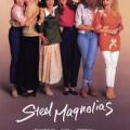 Çelik Manolyalar - Steel Magnolias (1989)