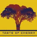 Kirazın Tadı - Taste of Cherry (1997)