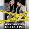 The Accidental Detective (2015)