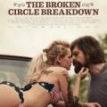 The Broken Circle Breakdown - Kırık Çember (2012)