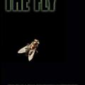 The Fly - Sinek (1986)