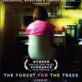 The Forest for the Trees (2003)
