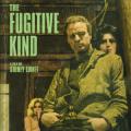 The Fugitive Kind (1960)