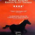 Atlara Fısıldayan Adam - The Horse Whisperer (1998)