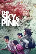 The Sky Is Pink (2019)