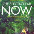 Şu An Muhteşem - The Spectacular Now (2013)