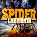 The Spider Labyrinth (1988)