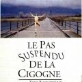Leyleğin Geciken Adımı - The Suspended Step of the Stork (1991)