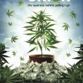 The Union: The Business Behind Getting High (2007)