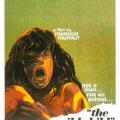 The Wild Child - Vahşi Genç (1970)