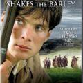 Özgürlük Rüzgarı - The Wind That Shakes the Barley (2006)