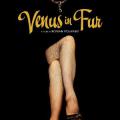 Kürklü Venüs - Venus in Fur (2013)
