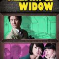 Villain and Widow (2010)