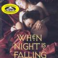 Gece İnerken - When Night Is Falling (1995)
