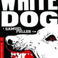 Beyaz Köpek - White Dog (1982)