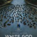 Beyaz Tanrı - White God (2014)