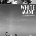 Beyaz Mane - White Mane: The Wild Horse (1953)