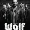 Wolf (2013)